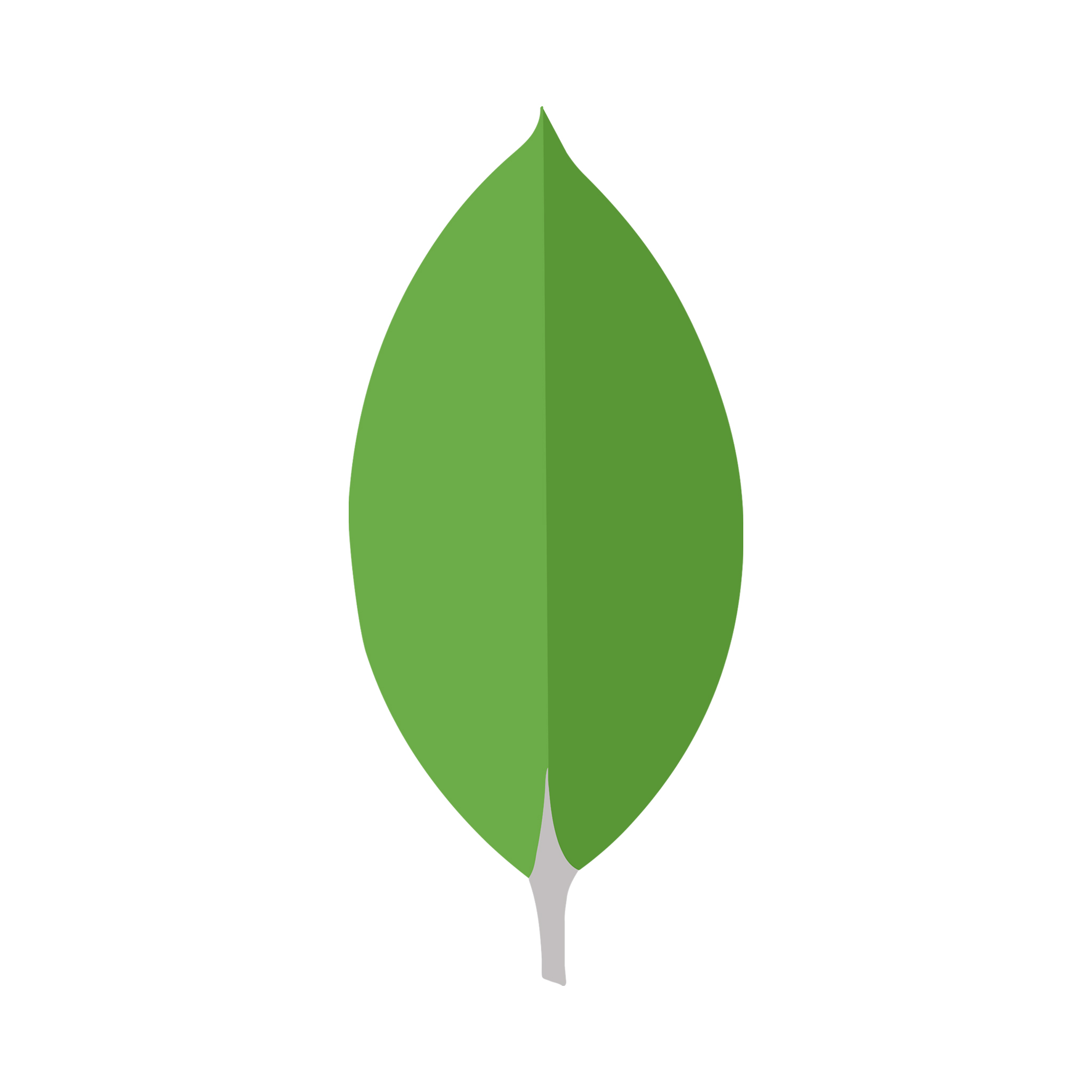MongoDB